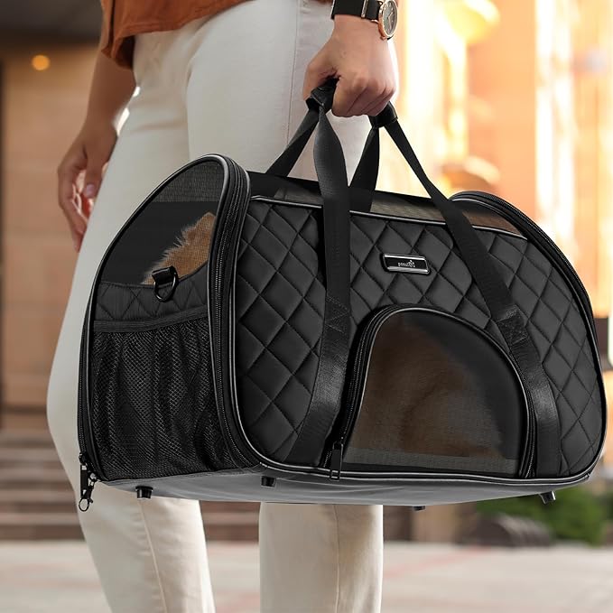 Pecute Cat Carrier Soft 10lbs (Black)