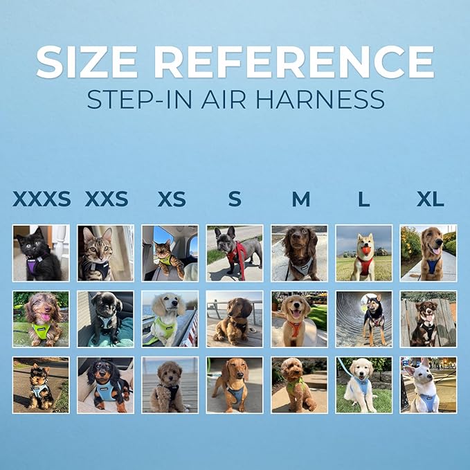 Voyager Step-in Air Dog Harness 207-BBW-XXS