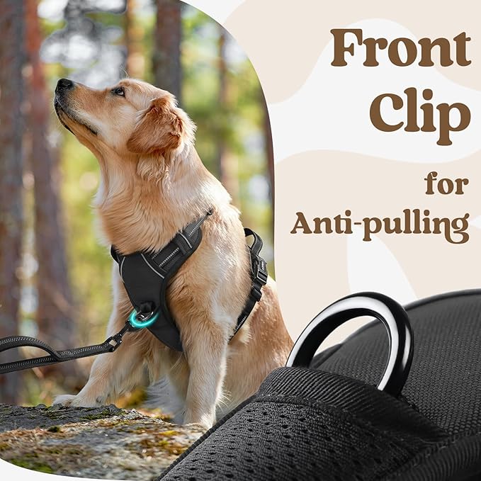 rabbitgoo Dog Harness Medium Sized 3 Buckles,