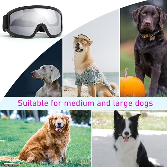 Dog Goggles Large Breed