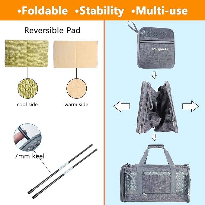 Cat Carrier for 2 Cats