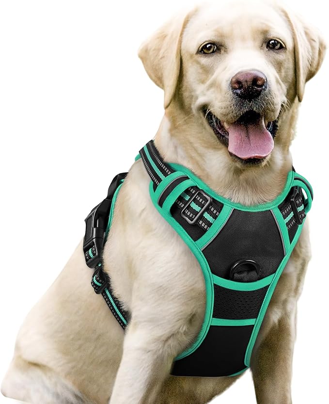 rabbitgoo Dog Harness 2 Leash