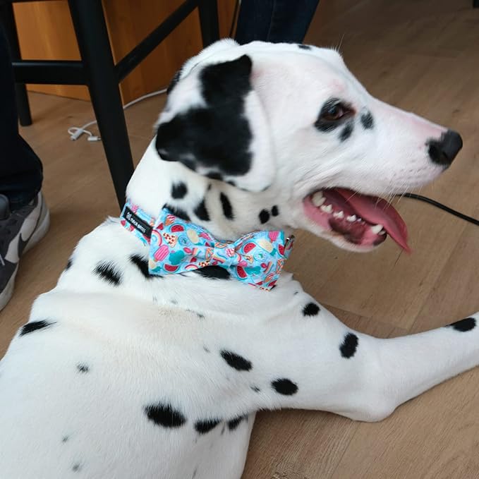 Maca Bates Summer Dog Collar with Fruit Icecream
