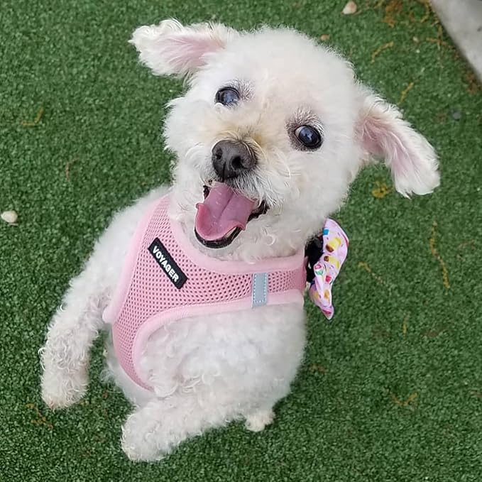 Voyager Step-in Air Dog Harness