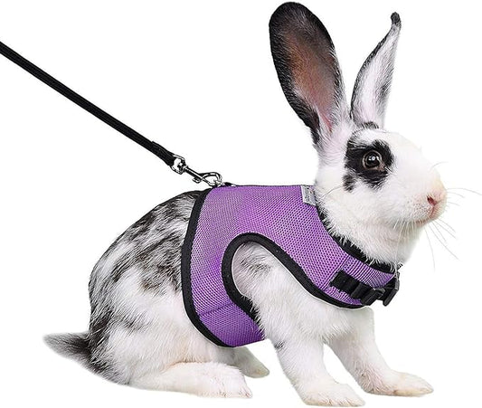 Niteangel Adjustable Soft Harness with Elastic Leash for Rabbits (M