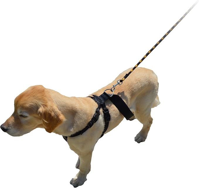 Downtown Pet Supply 10 to 25 lbs