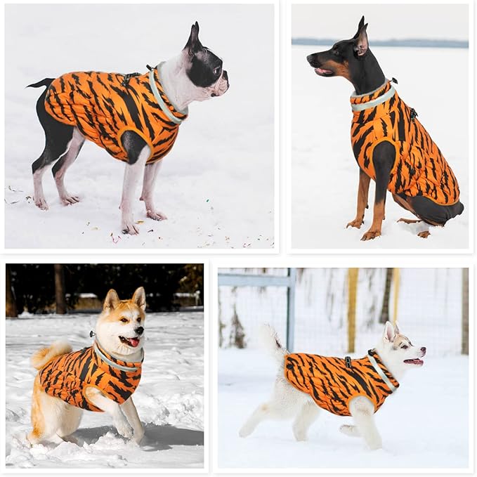 Dog Winter Coat