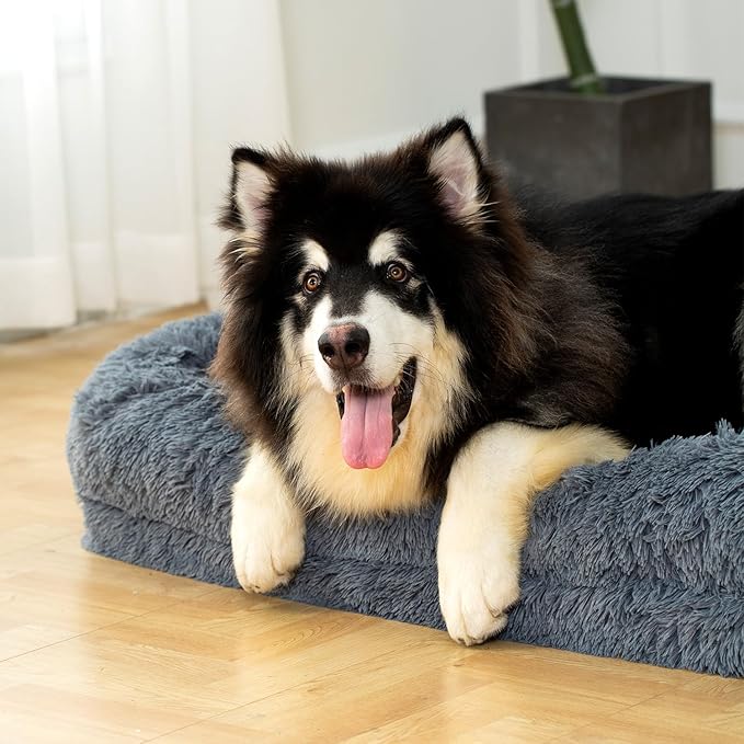 2 in 1 Calming Dog Beds for X-Large Dogs
