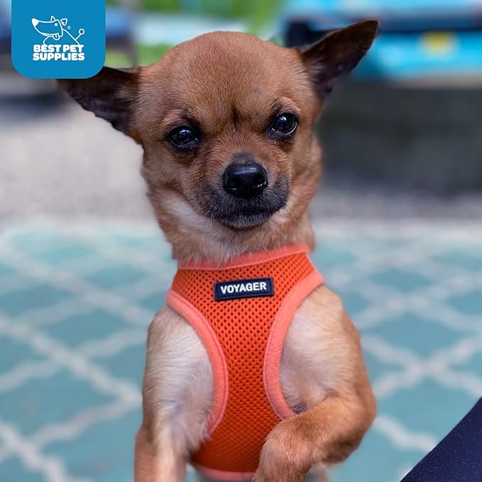 Voyager Step-in Air Dog Harness 18-20.5")