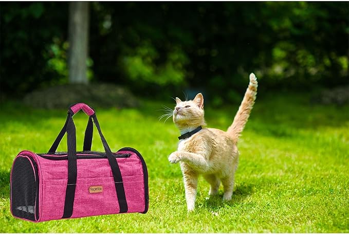Pet Carrier Bag