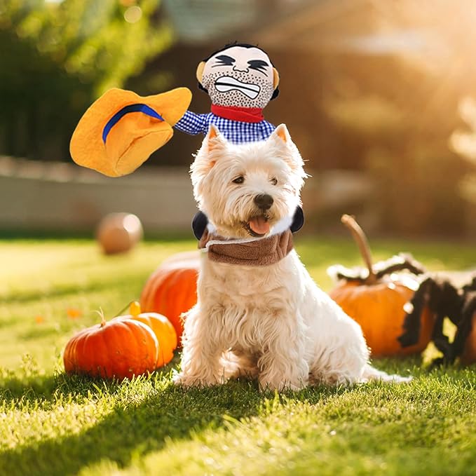 Funny Cowboy Rider Dog Costume