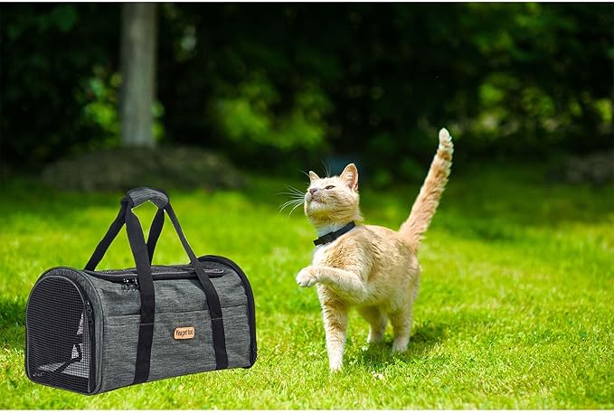 Pet Carrier Bag for Small Medium Cats Dogs