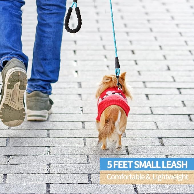 BAAPET 2/4/5/6 FT Dog Leash with Comfortable Padded Handle and Highly Reflective Threads for Small Medium and Large Dogs (5FT-1/3''