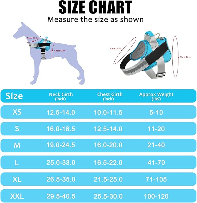 Bolux Dog Harness 1))
