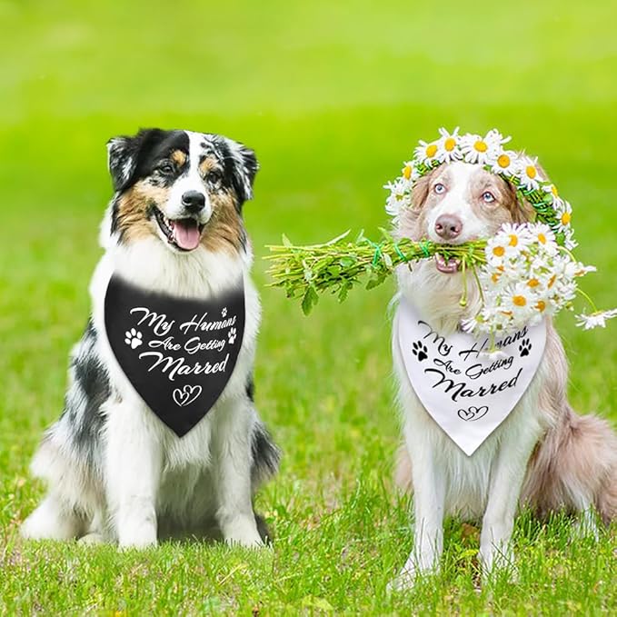 SZEE Wedding Dog Bandanas, My Humans are Getting Married Dog Bandanas for Dogs, Dog Engagement Wedding Party, Pet Wedding Photo Prop Bandana for Engagement, Gifts for Couples (White & Black, Large)