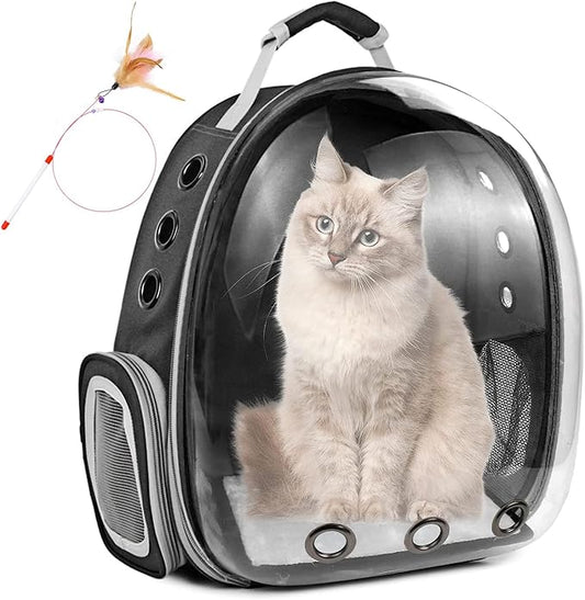 Cat Backpack