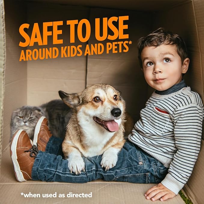 OUT! PetCare Orange Oxy Stain & Odor Remover 32 oz 2)