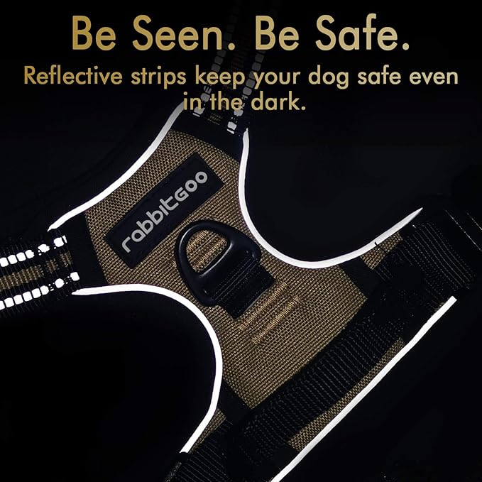 rabbitgoo Dog Harness 2 Leash