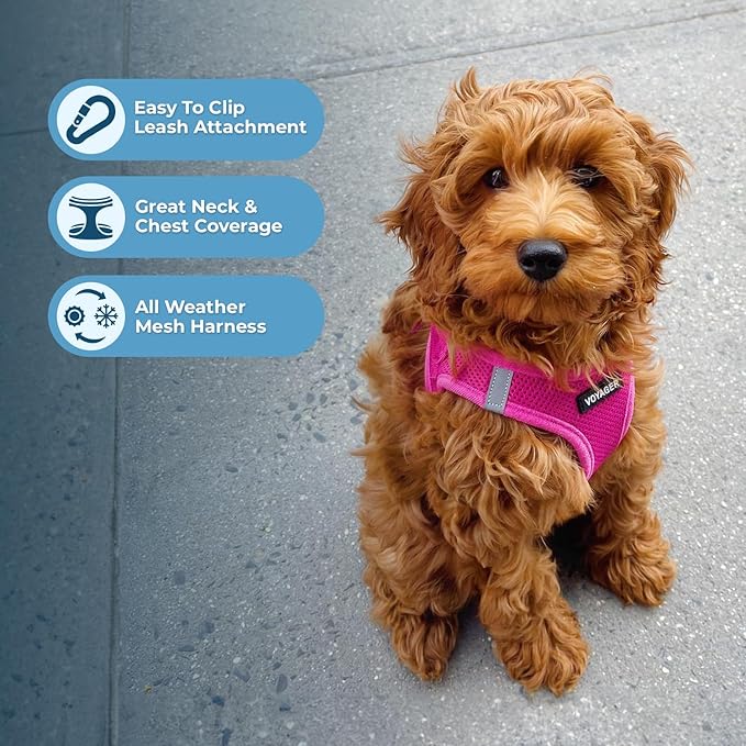 Voyager Step-in Air Dog Harness 18-20.5")