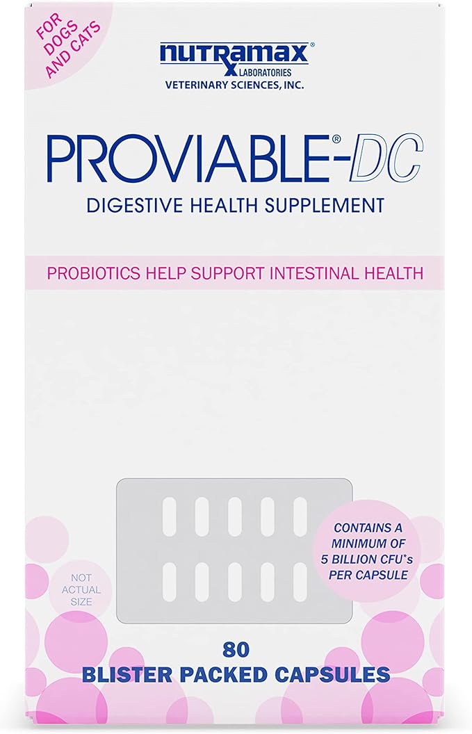 Nutramax Proviable Digestive Health Supplement Multi-Strain Probiotics and Prebiotics for Cats and Dogs 7 Strains 80 Capsules,