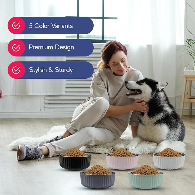 Stainless Steel Pet Bowl 40 Oz/1200ml)