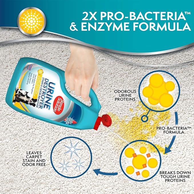 Simple Solution Pet Urine Destroyer 2X Pro-Bacteria 1 Gallon, 128 oz