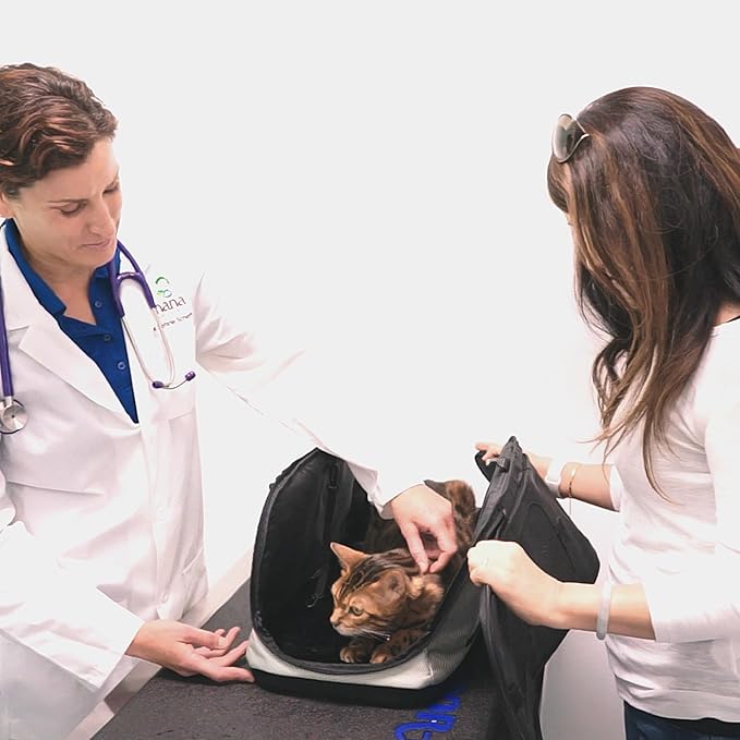 Sleepypod Air 18 lbs