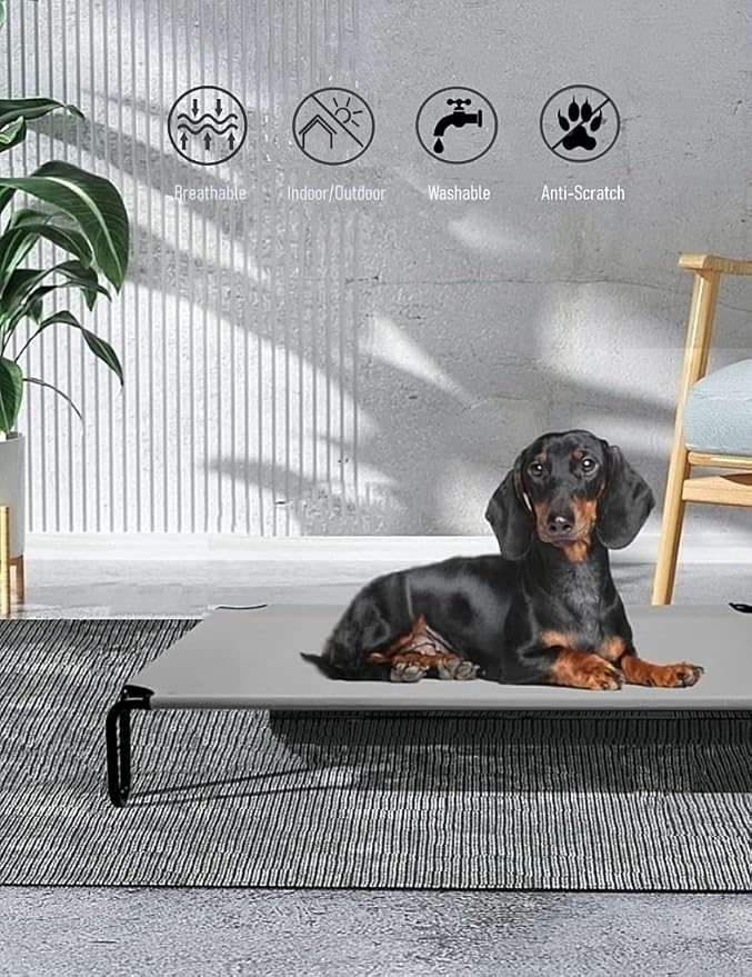 Elevated Dog Bed 35 x 28 x 8 inches