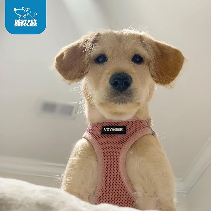Voyager Step-in Air Dog Harness