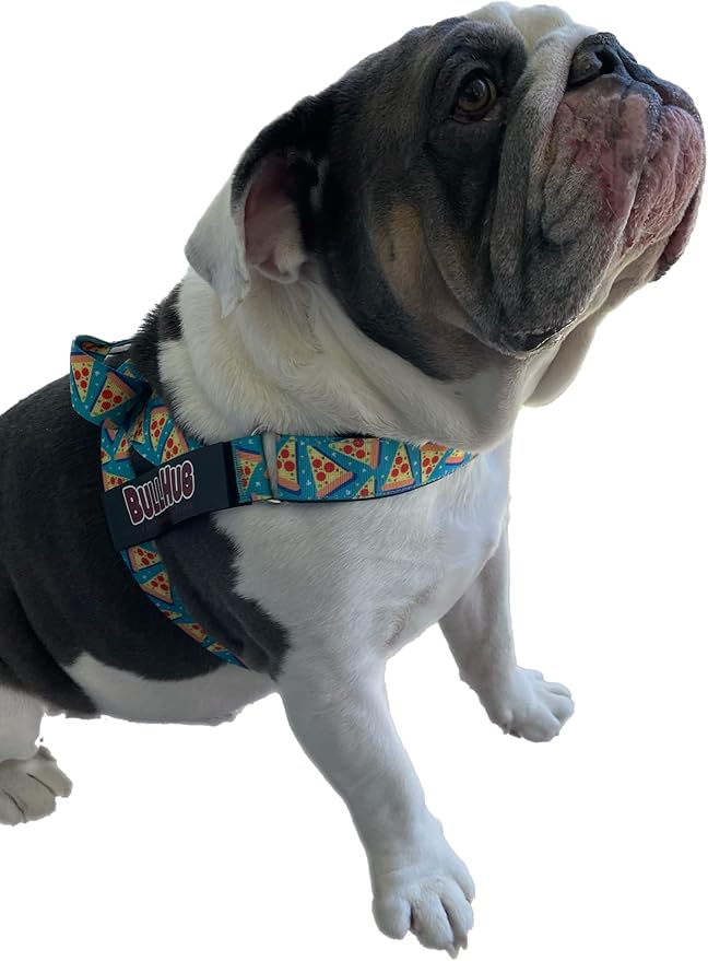 BULLHUG Harness – Made for Larger Chested Dogs Like English Bulldogs