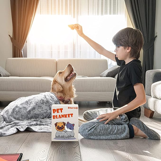 1 Pack 3 Premium Soft Dog Blankets for Small Dogs 24 * 16 Inches,