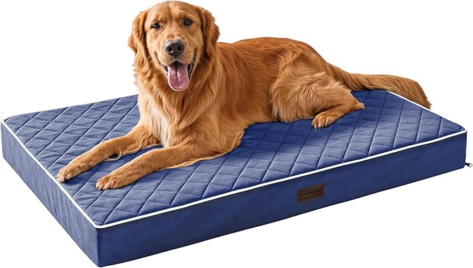 SunStyle Home Orthopedic Dog Beds for XX-Large Dogs