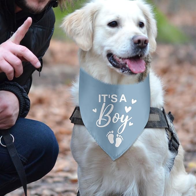 It's a Boy Gender Reveal Baby Announcement Dog