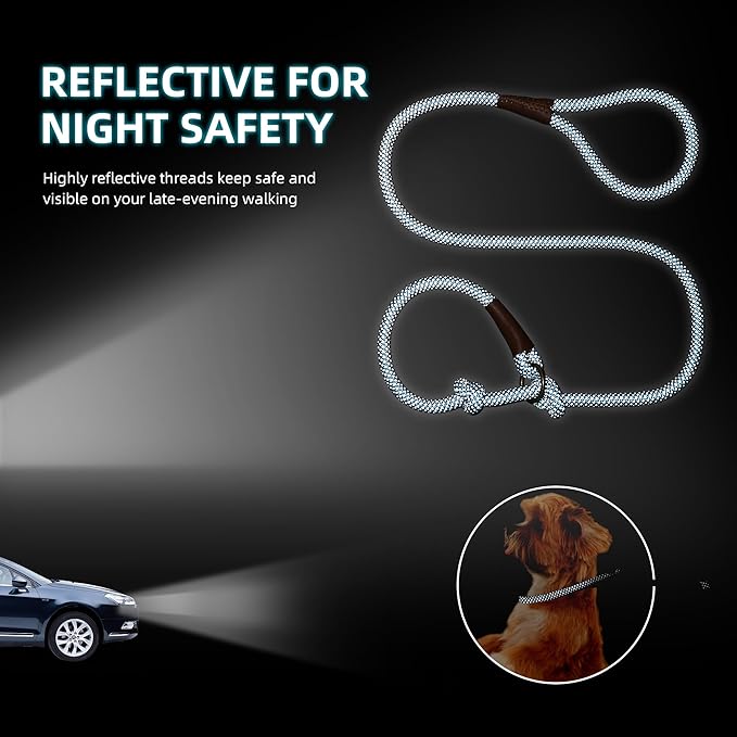 Mile High Life Slip Leads for Dogs 4 Feet