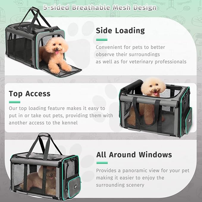 Pet Carrier 2 Cats, 30 lbs,