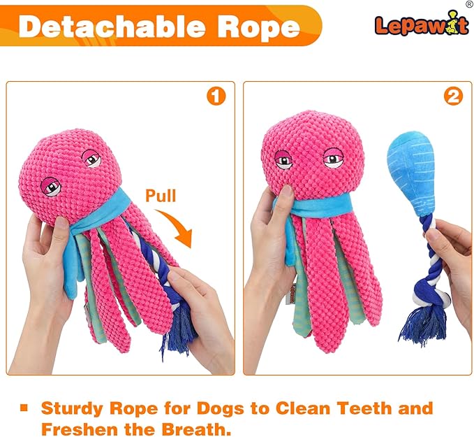 Squeaky Dog Toys