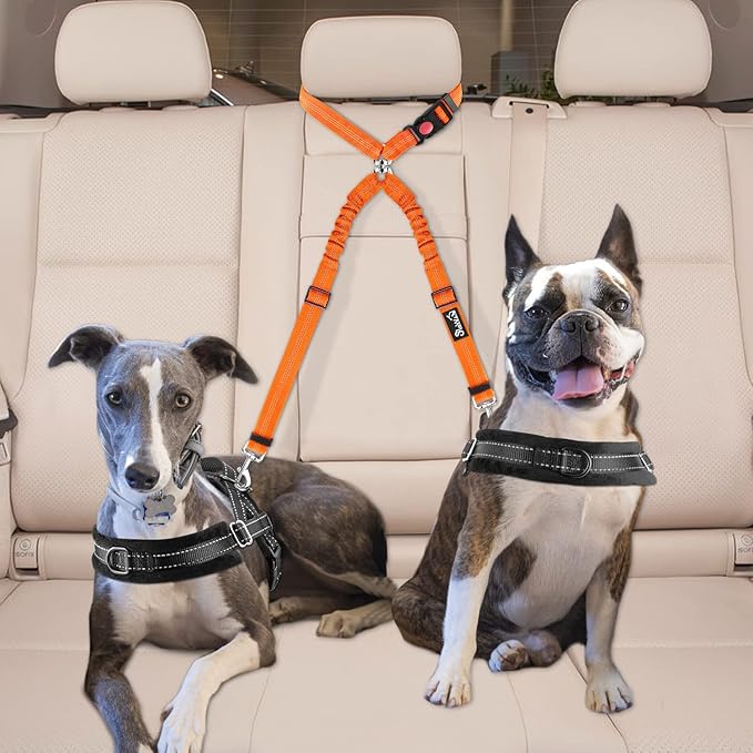 Lukovee Double Dog Seat Belt 2 Dogs