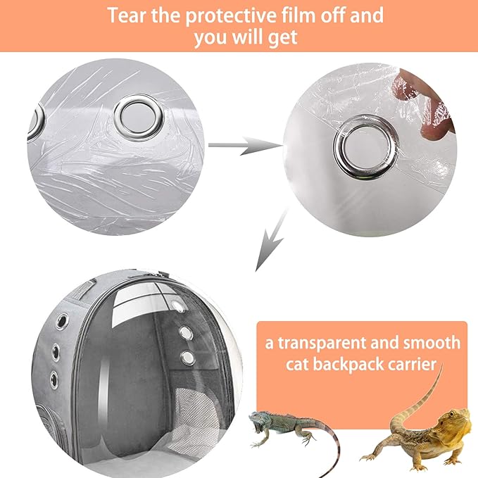 Bearded Dragon Carrier with Harness and Leash Set