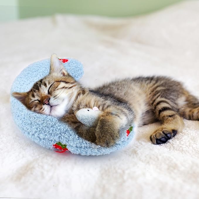 Mity rain 2PCS Dog Pillow