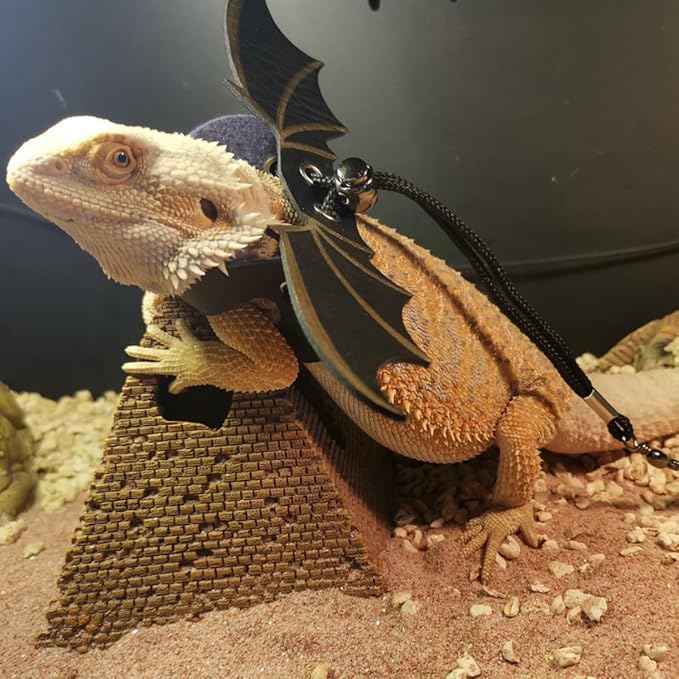 Bearded Dragon Lizard Backpack Carrier with Harness and Leash Set