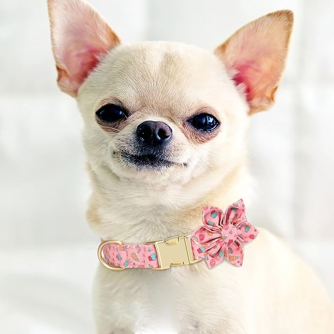 Beirui Cute Girl Dog Collars for Female Dogs