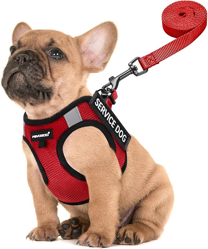 FAYOGOO Service Dog Vest for Small Breed 6PCS Removable