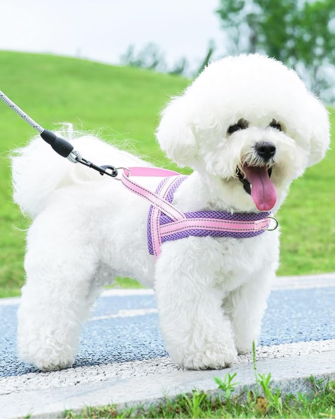 Pink Small Dog Harness No Pull Dog Harness for Small Dogs Puppy Harness with Breathable Mesh Padded Adjustable Reflective Lightweight Escape Proof Dog Harness Small Sized Dog Easy Walk (Pink