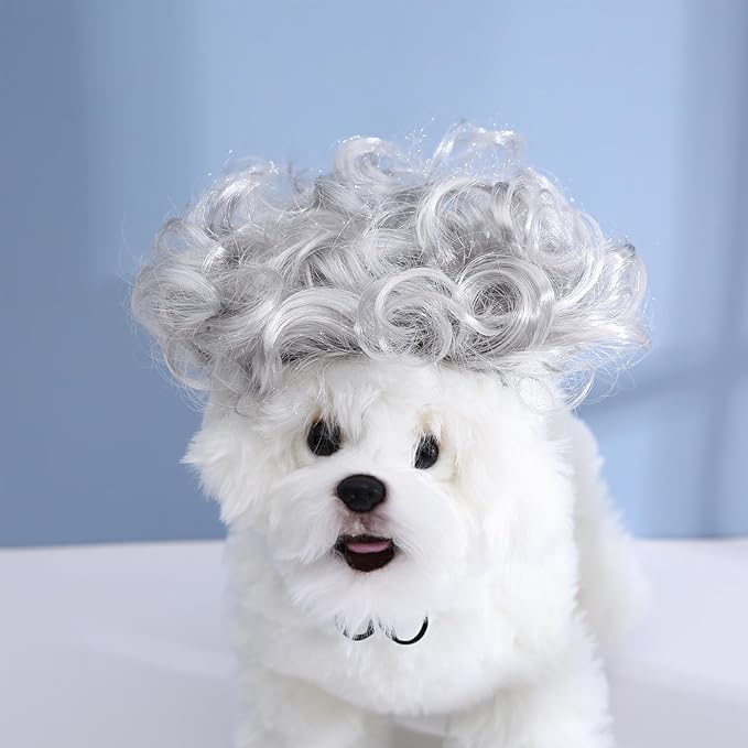 Funny Dog Cat Cosplay Wig