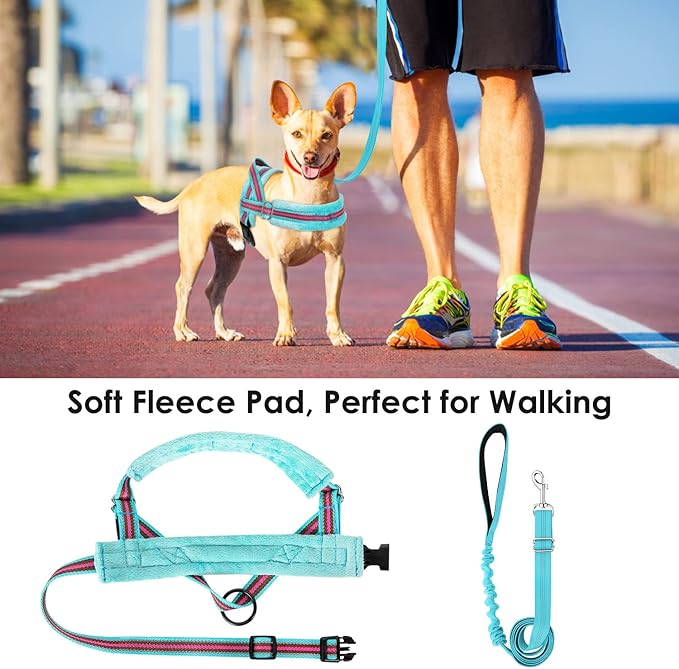 Lukovee Dog Harness and Leash Set 4ft Lightweight