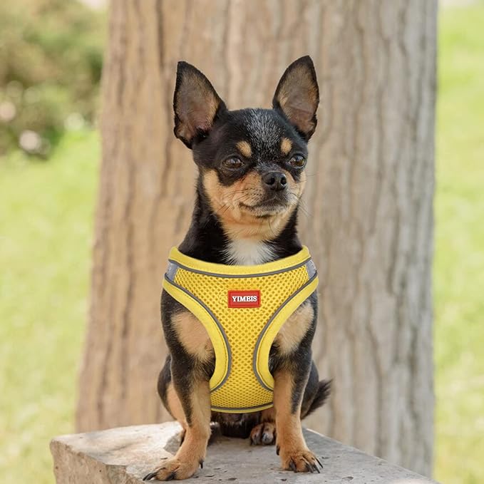 YIMEIS Dog Harness and Leash Set 1)
