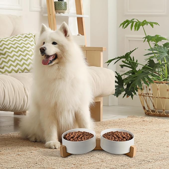 SPUNKYJUNKY Ceramic Dog and Cat Bowl Set with Wooden Stand (3.6 Cups, 2 ×