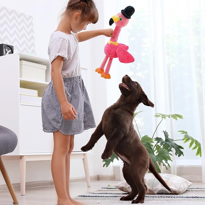 Squeaky Dog Toys