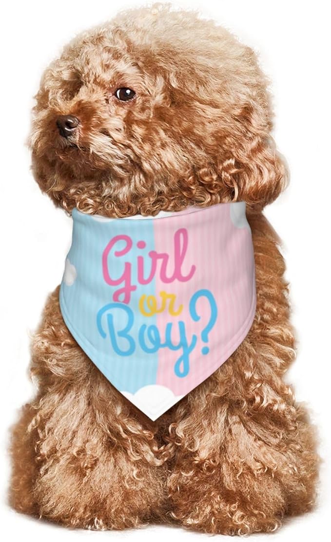 He Or She What Will It Be? Gender Reveal/Baby Announcement Dog Bandana,Pet Neckerchief for Pets Daily Wear Photo Prop Party Supplies (boy or Girl Clouds)