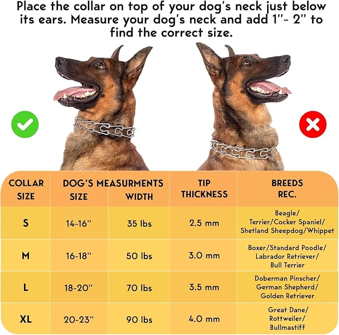 Prong Collar for Dogs